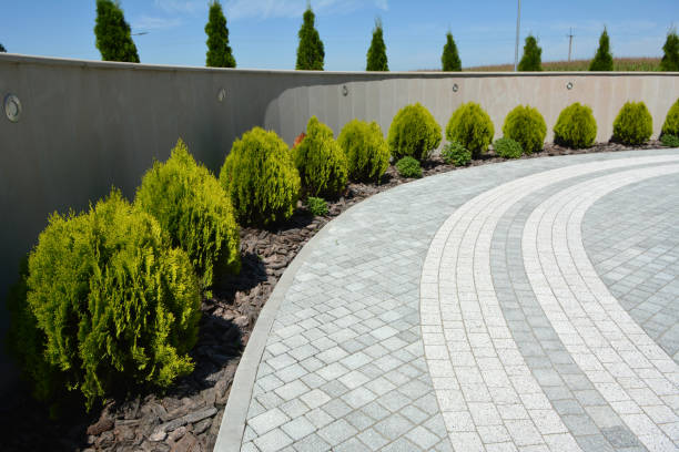 Best Concrete Paver Driveway  in Greybull, WY