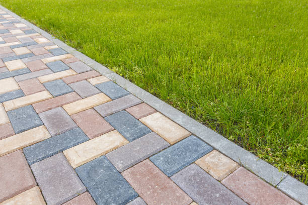 Best Driveway Repair Near Me  in Greybull, WY